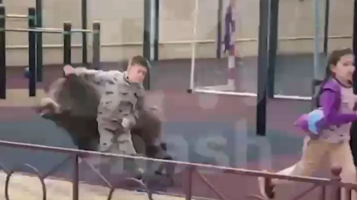 «Бегите» В Ростове кабан выбежал на детскую площадку и сбил мальчика с ног
