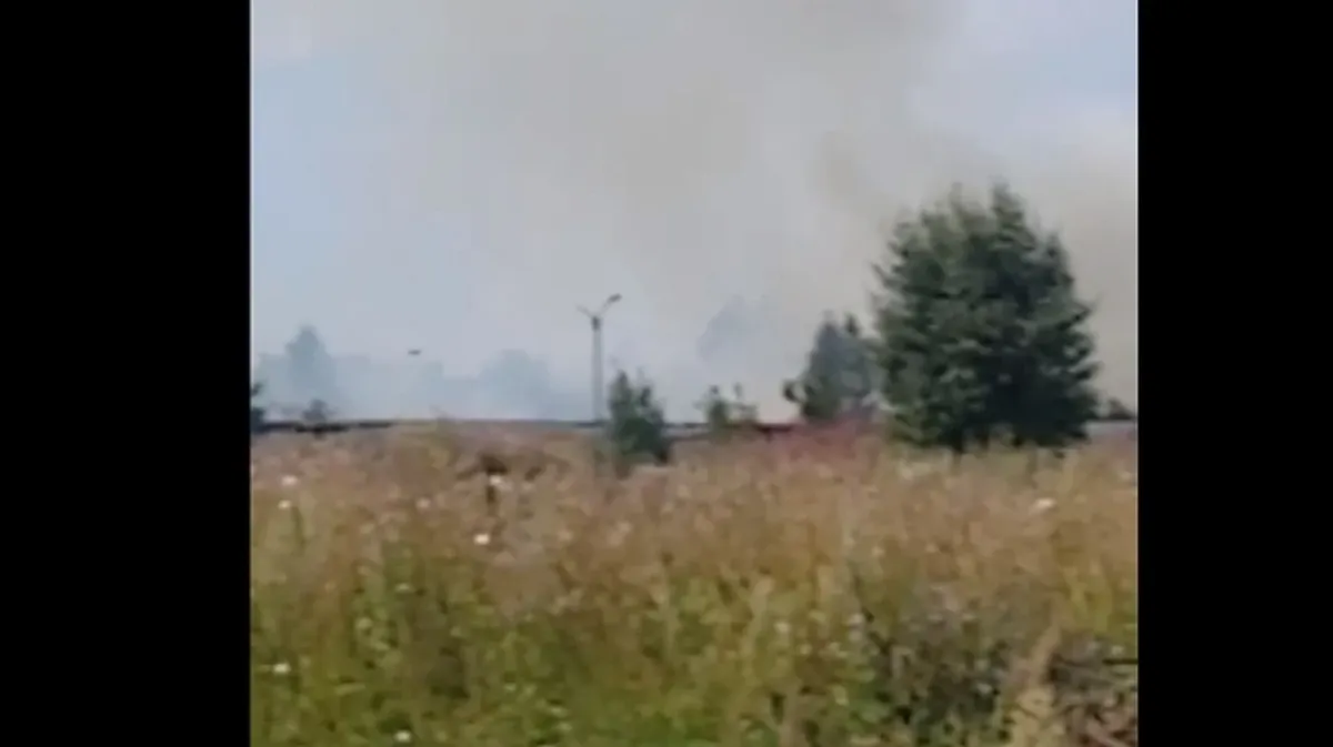В Бердске заметили пожар возле кладбища и приюта для животных «Надежда». Фото: скриншот с видео