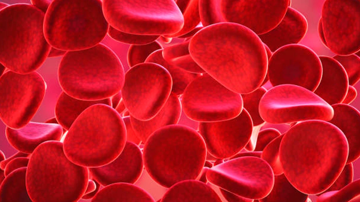 На поверхности эритроцитов имеются антигены, определяющие группу крови. Фото: Piqsels.com