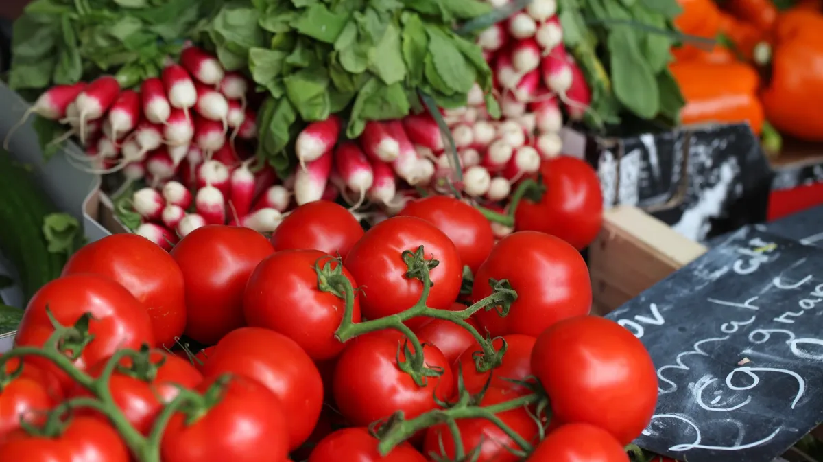 Как сохранить урожай томатов, перцев, картошки, капусты в августе 2022: лунный календарь сбора урожая, заготовок и ухода за овощами на корню – сколько класть соли на литр