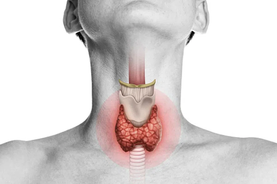 Заболевания щитовидной железы могут повлиять на фертильность женщины