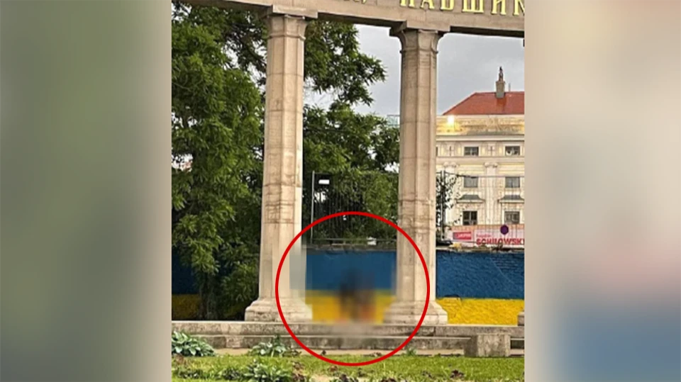 В Австрии нарисовали символ «Азова»* за мемориалом советским воинам. Фото: Telegram-канал Посольства России в Австрии