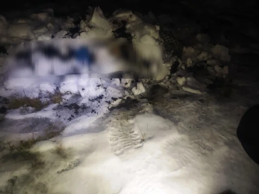 В Новосибирской области пьяный сибиряк зарезал ножницами друга, добил его лопатой и спрятался за тюк сена