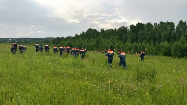 В лесу под Новосибирском 4-летний ребенок заблудился во время сбора ягод 