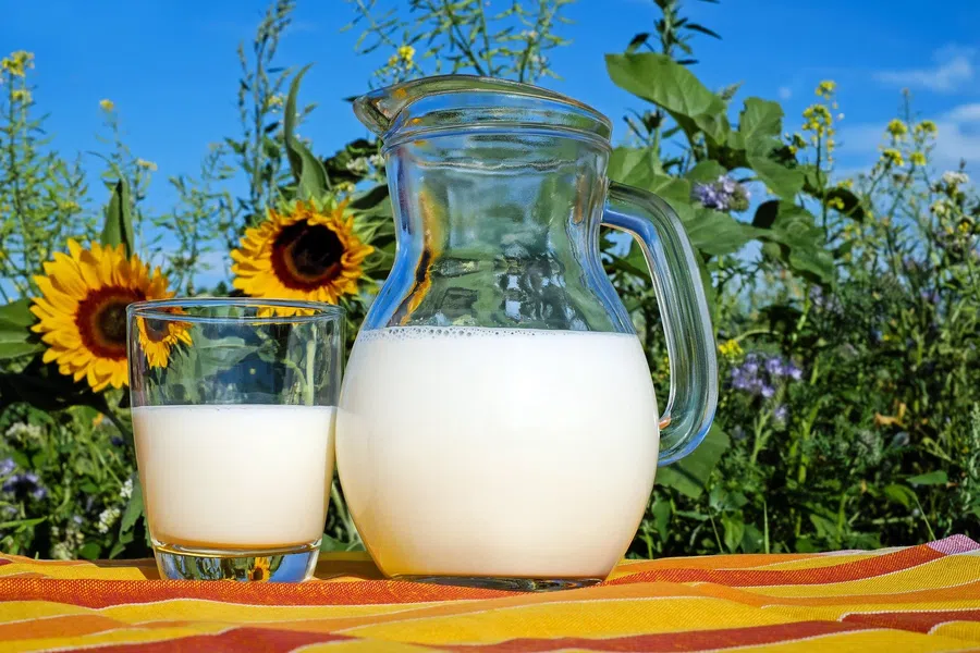 Золотое молоко: почему ценится для молодости, и как приготовить дома?