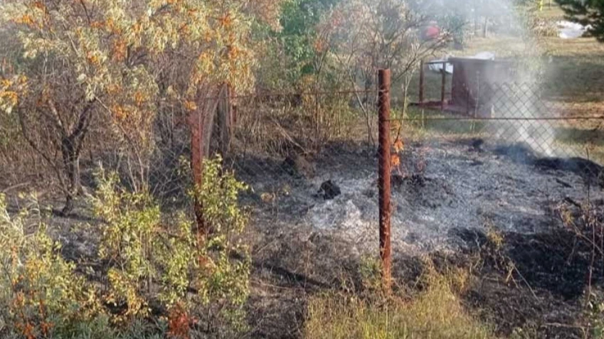 Житель Бердска с болгаркой устроил пожар в садовом обществе