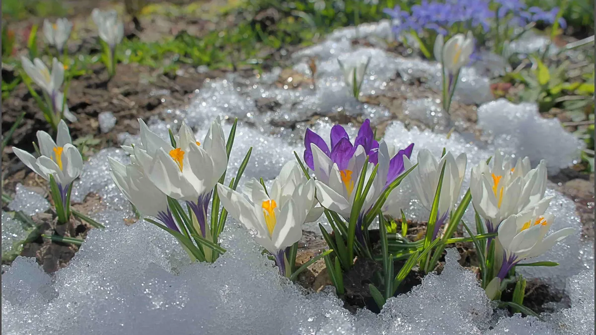 Весна обрушится на Россию: погода в марте и апреле 2023 года в Москве, Санкт-Петербурге, Новосибирске и Красноярске – где пройдут ледяные дожди с градом 