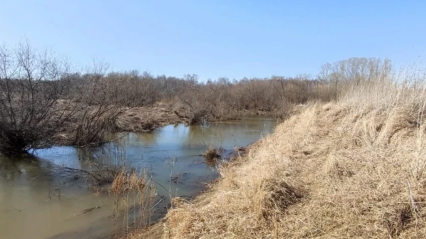 В Новосибирской области спустя 6 дней нашли тело 12-летней девочки, утонувшей на реке. Она шла за вербой, но сорвалась с бетонного «моста»