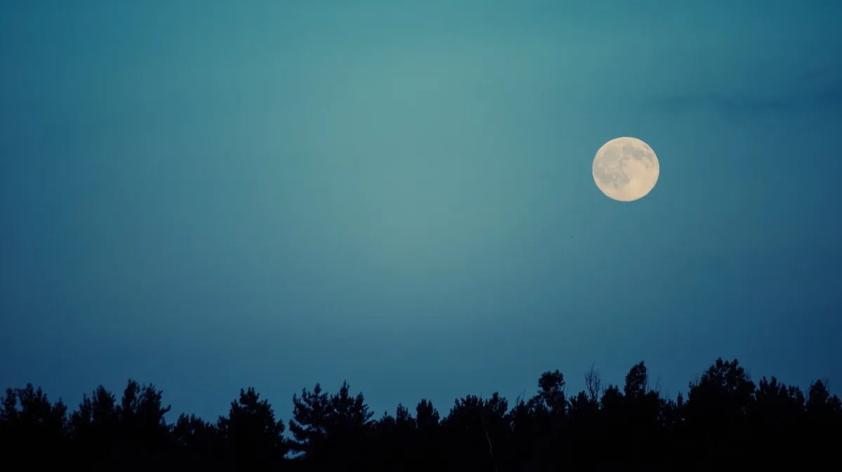 Лунный календарь состоит как из обычных дат, так и из самых настоящих дней силы. Фото: Pxfuel.com