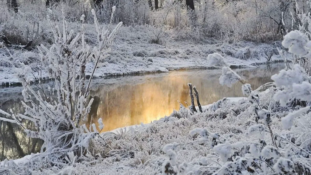 Москву завалит сильный ночной снегопад – утром 7 ноября на дорогах москвичей поджидает толстая корка льда 