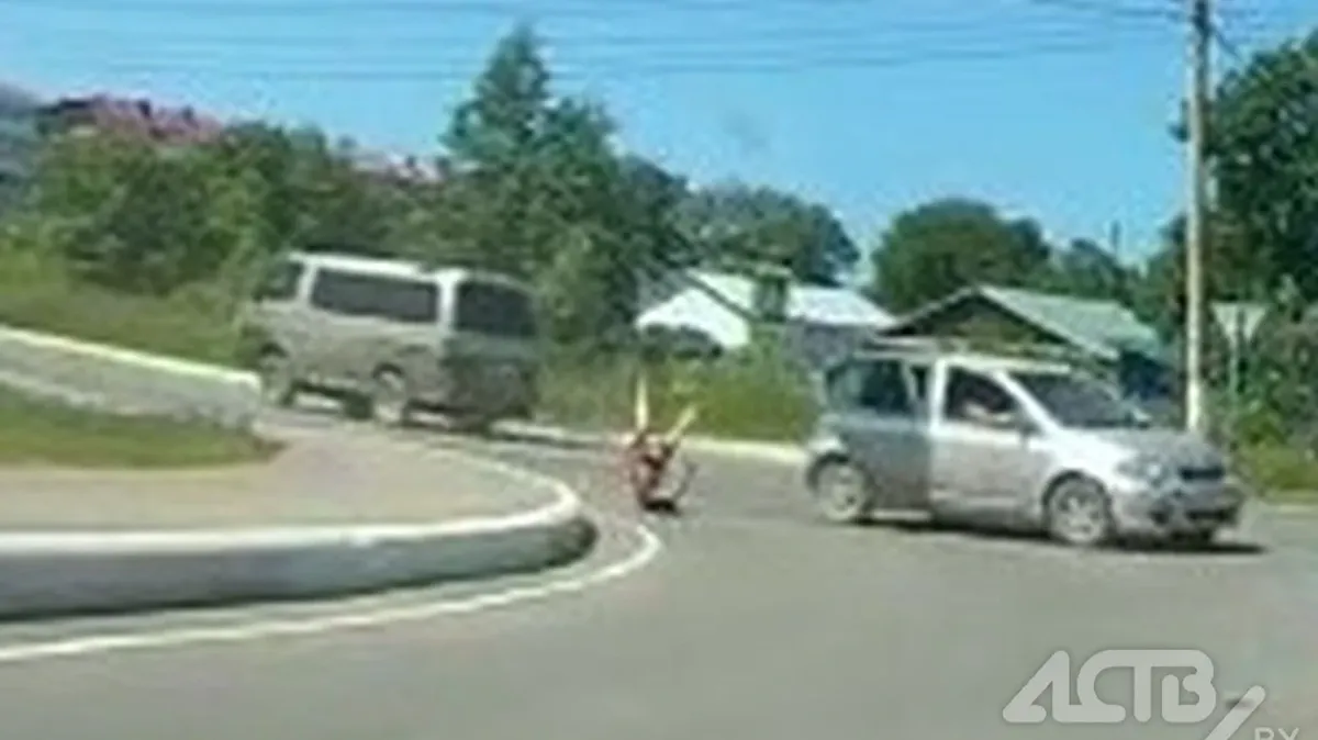 На Сахалине полуголая женщина вылетела из машины на полном ходу и совершила кувырок. Видео 