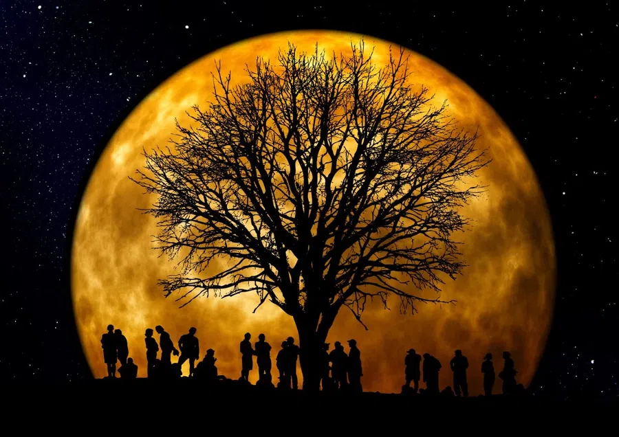 луна, люди, дерево