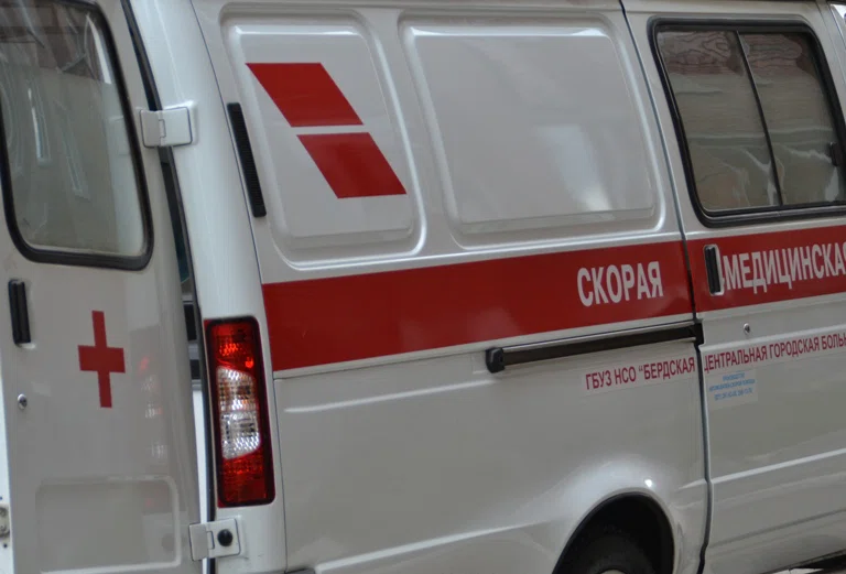 Бригады скорой помощи и полиции Бердска ринулись на помощь влюбленным скандалистам в СНТ "Ягодка-2"
