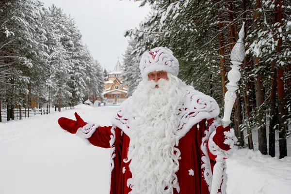 «Дед Мороз исполняет желания и дарит подарки только хорошим девочкам и мальчикам»: Президент России готов стать адвокатом новогоднего волшебника