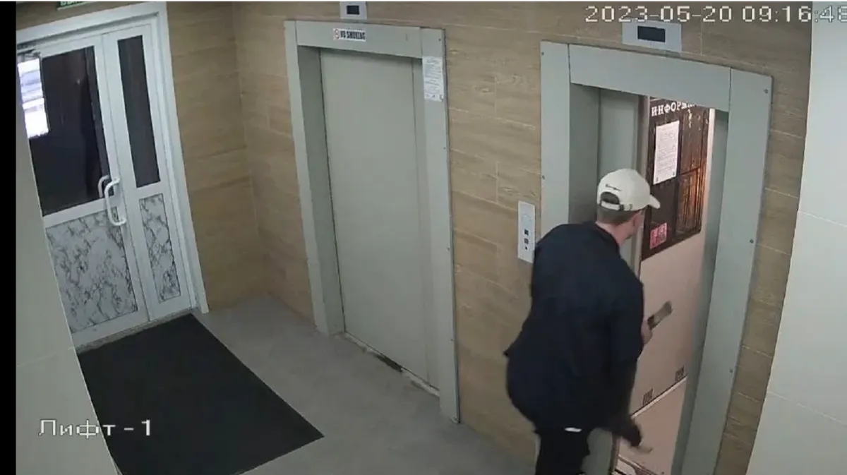 «Внутри все обрывается от таких видео» В Новосибирске задержали живодера, который жестоко избил собаку в подъезде – момент избиения попал на видео