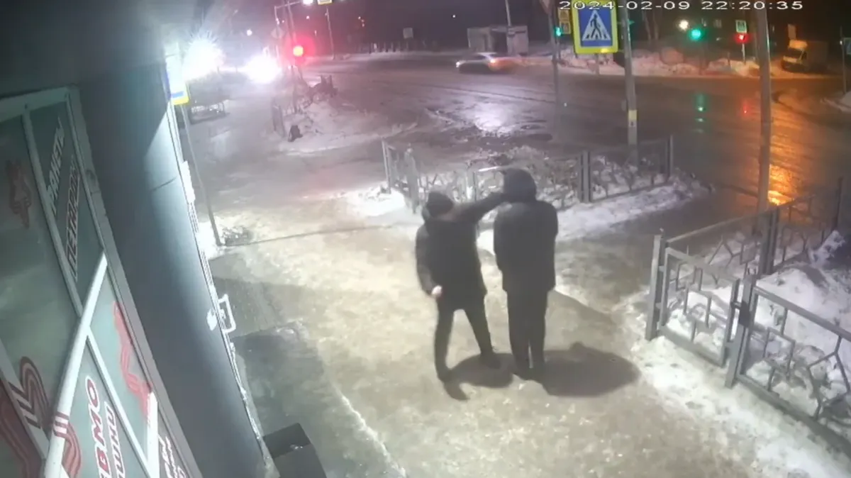 В Бердске неизвестный зарядил кулаком в лицо школьнику — видео