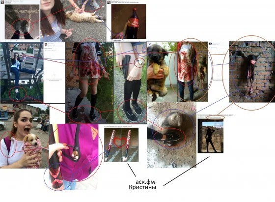 Приютив бездомных животных, девочки их якобы мучают и убивают 