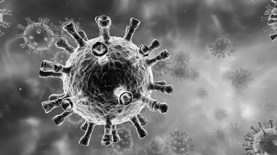 В России выявили 88 816 новых зараженных коронавирусом за сутки 27 января 2022 года: Это новый рекорд за все время пандемии