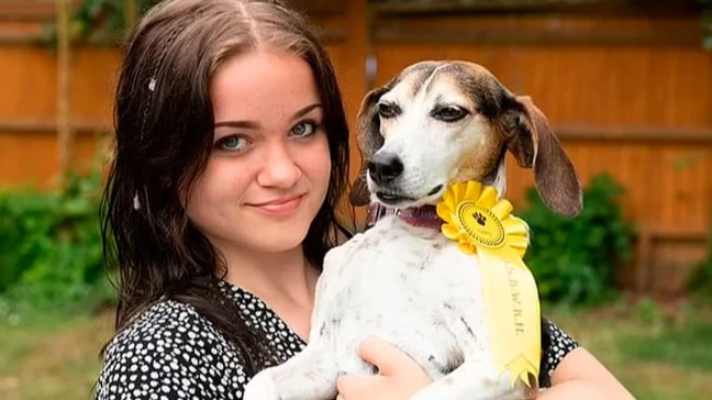 В Британии собака сбежала из дома, выиграла конкурс и вернулась домой
