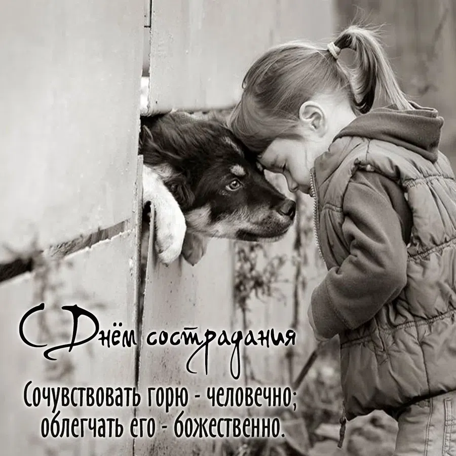 Будь милостив! Чудесные поздравления во Всемирный день сострадания 28 ноября