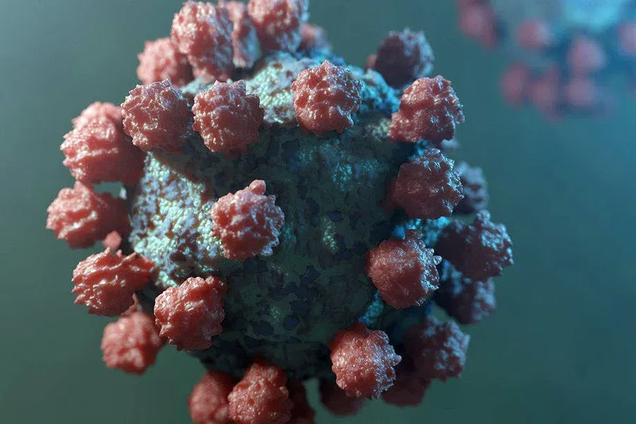 В России выявили минимальное число зараженных коронавирусом за месяц за сутки на 28 февраля