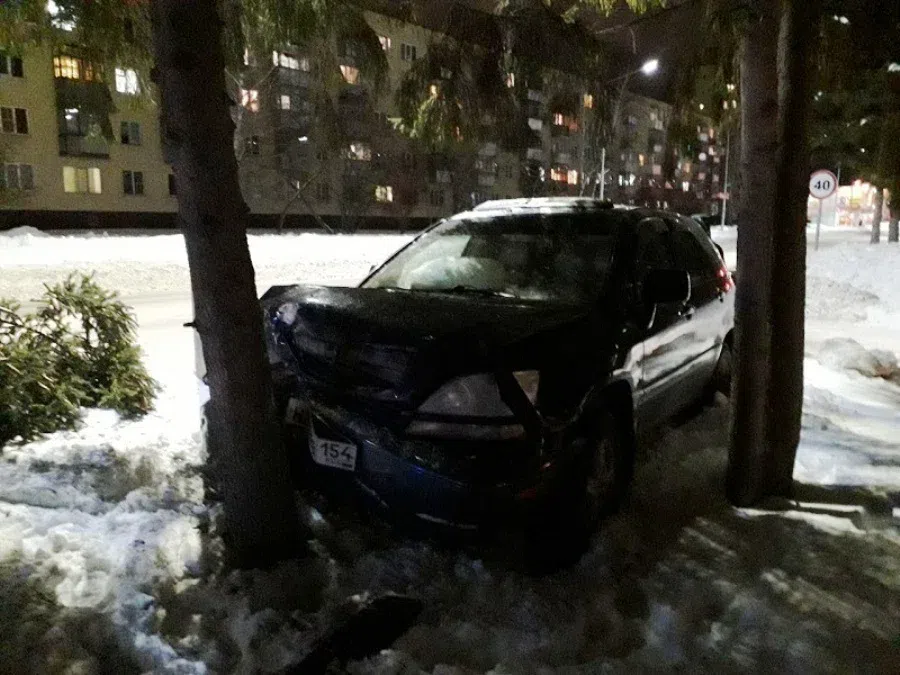 В Бердске Lexus вылетел с дороги и врезался в дерево после столкновения с Toyota Funcargo
