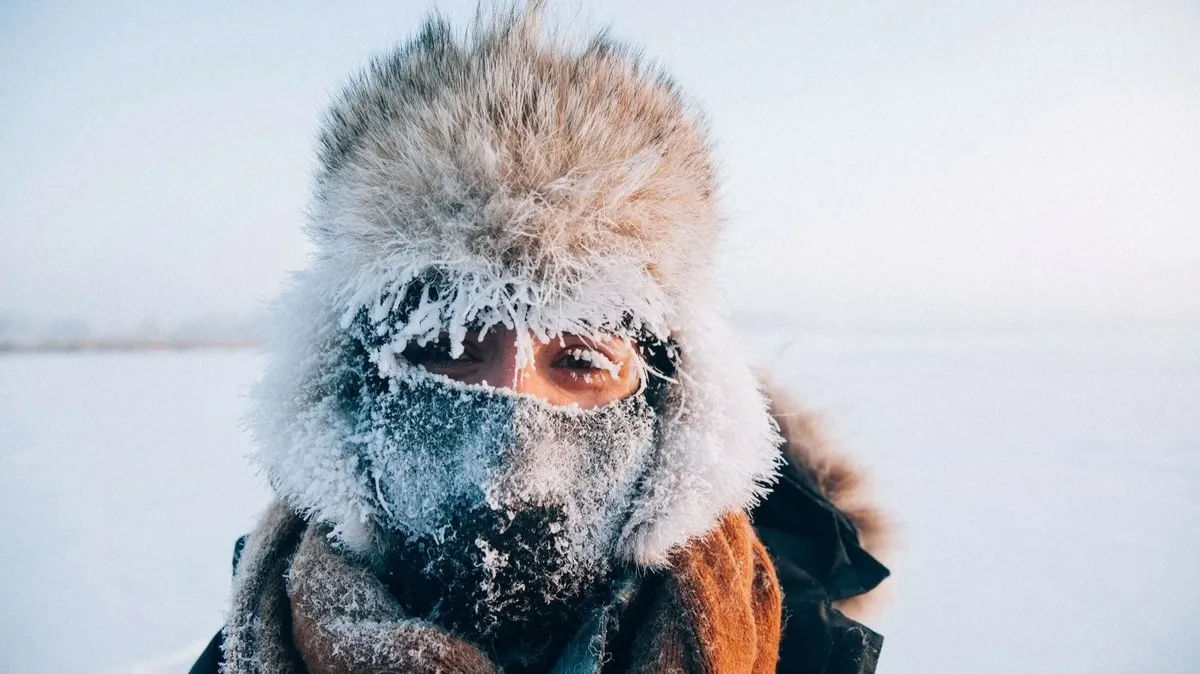 Настоящие русские морозы придут в Москву под Новый год: какая погода будет в Санкт-Петербурге, Новосибирске и Якутии и выпадет ли снег к празднику 