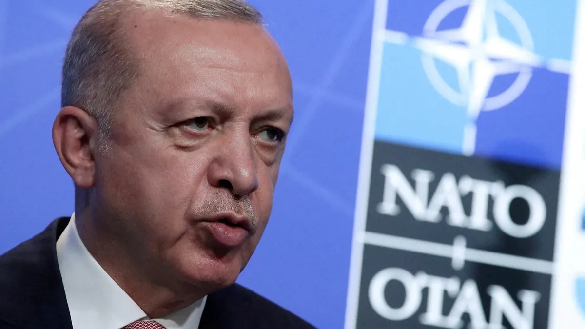Президент Турции провел телефонные переговоры с лидерами Швеции и Финляндии по поводу предложений НАТО. Фото: Yves Herman/Pool/Reuters