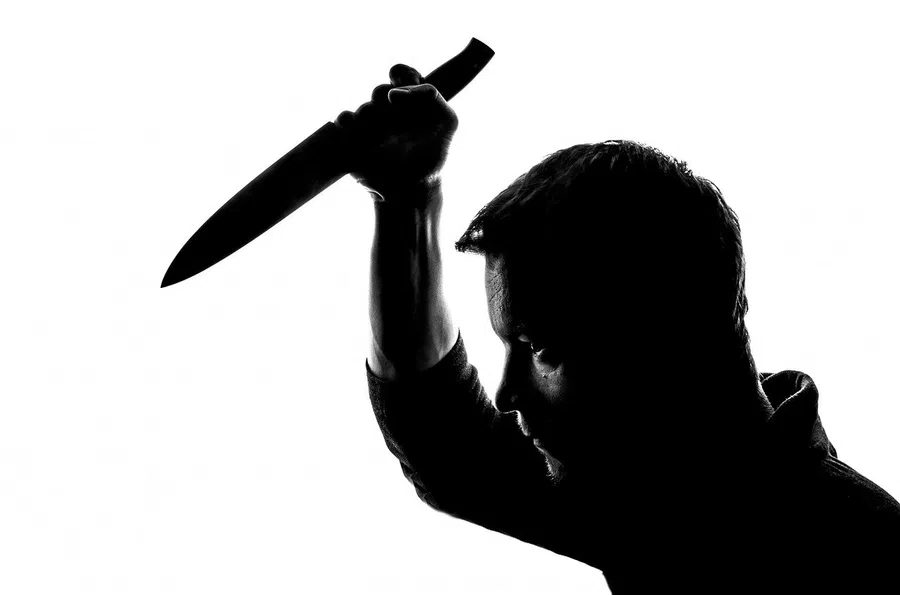 «Ножом изрезал шею, грудь и голову»: обвиняемый в убийстве учительницы из Воронежа признался, что сожалеет о содеянном