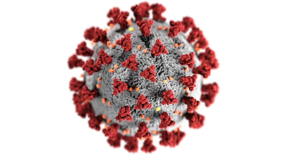 Гинцбург: «Омикрон» не станет концом коронавируса. Появится еще одна более устойчивая мутация