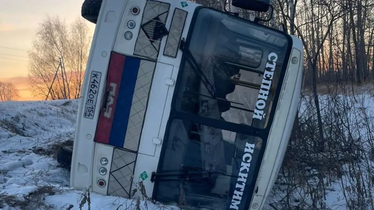 Под Бердском автобус с 7 пассажирами съехал с дороги и перевернулся