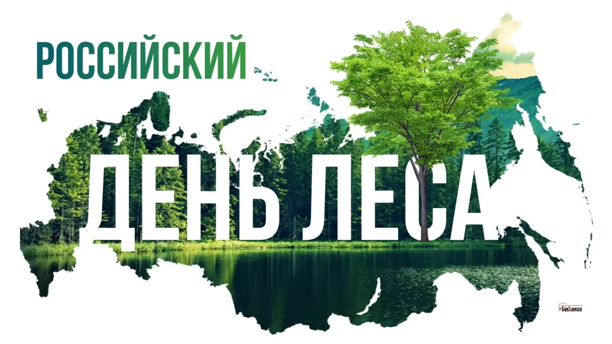 Российский день леса. Иллюстрация: «Курьер.Среда»