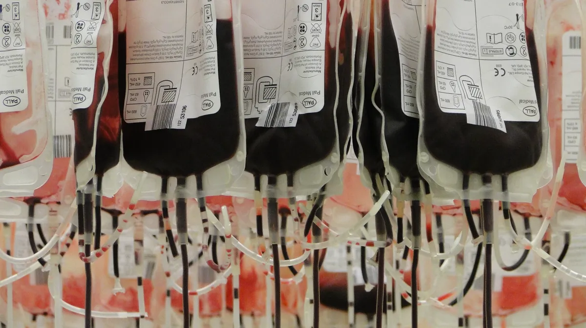В России 20 апреля отмечается Национальный день донора: что за слово «донор», чем опасно быть донором крови, сколько стоит 450 мл крови? Почему нельзя быть донором?