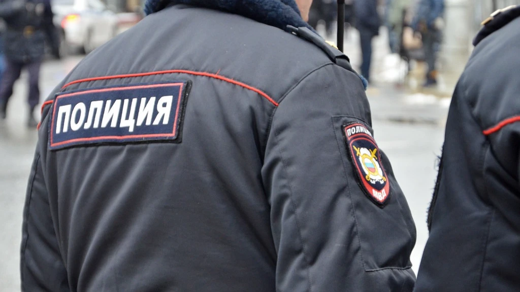 Полицейские задержали девушку на Нижней Ельцовке. Фото: Flickr