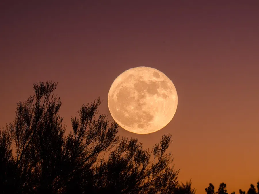 От фазы Луны может зависеть то, как на вас скажется новая стрижка. Фото: Pxfuel.com