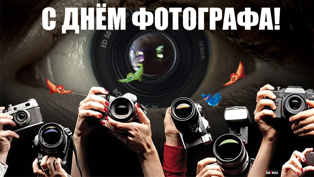 Великолепные дизайнерские открытки и красивые стихи в День фотографа для россиян 12 июля