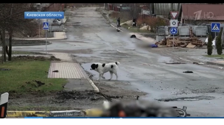 Город Буча. Фото: скриншот с видео «Первый канал»