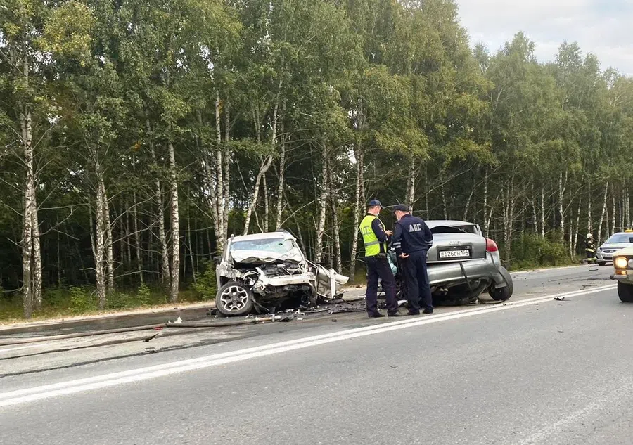 Водитель Audi погиб в массовом ДТП под Бердском: Новые подробности страшной аварии на трассе Р-256