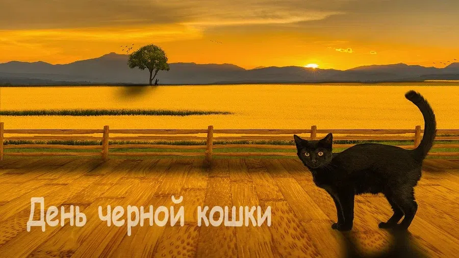 Если черный кот дорогу перейдет: мурлычные картинки всем верящим в черного кота в День черной кошки 17 ноября