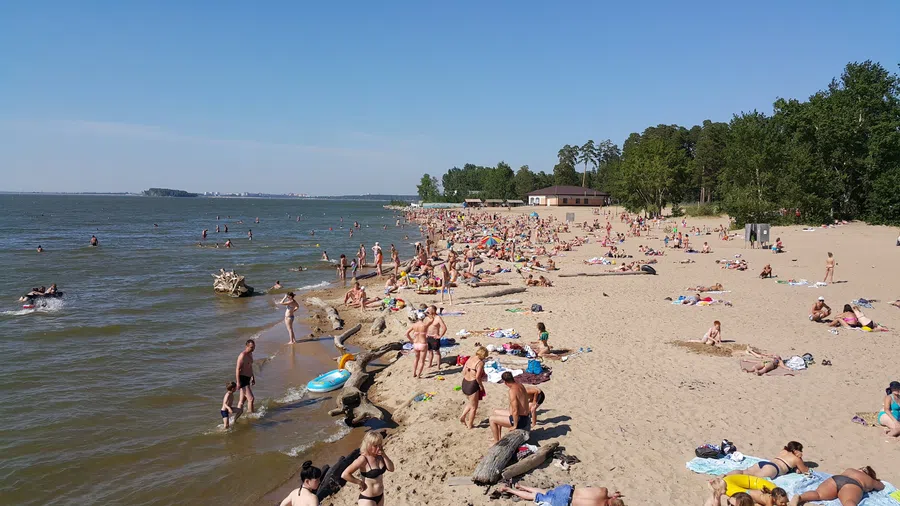 Аномальная жара накроет Бердск в конце августа - выше +30 градусов