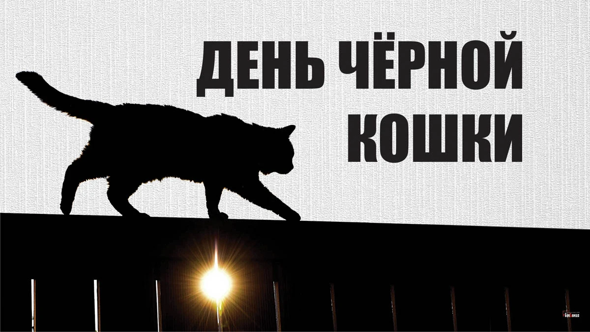 День черной кошки. Иллюстрация: «Курьер.Среда»
