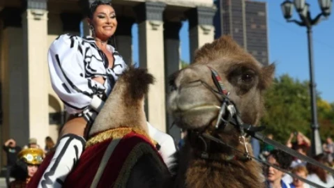В Новосибирске блогерша Платонова явилась к Оперному театру на верблюде ради лайков и привлечения внимания. Сибиряки посоветовали ей «запрячь личного осла» - фото