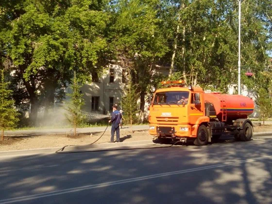 В полдень 28 июля бердчане увидели, как поливают засыхавшие на ул. Ленина елки