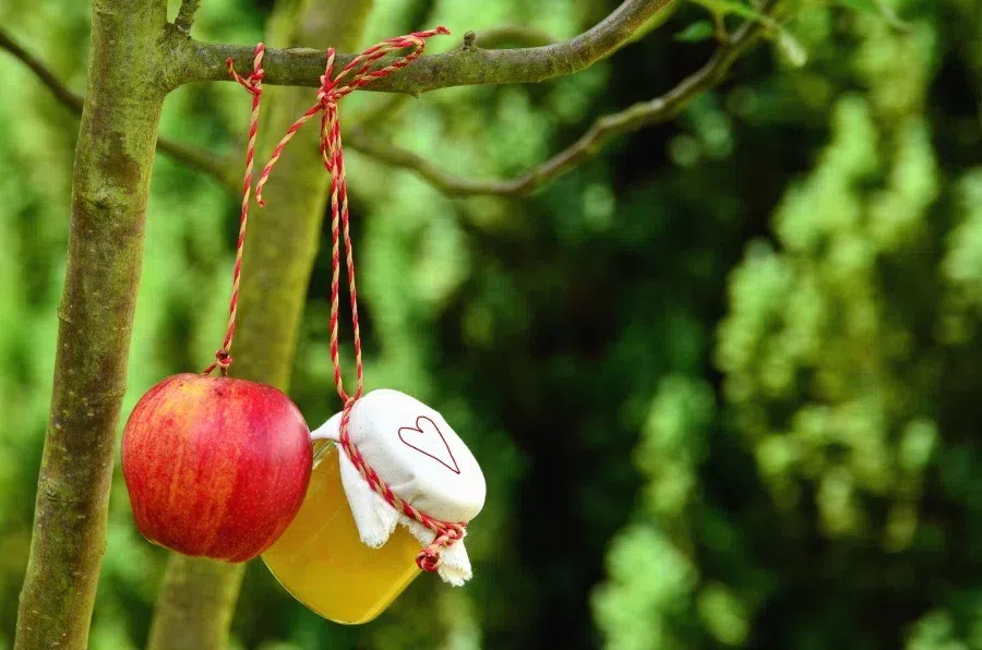 20 августа  - Марина-Пимены: кого обязательно сегодня угощают яблоками и сладостями по народным обычаям