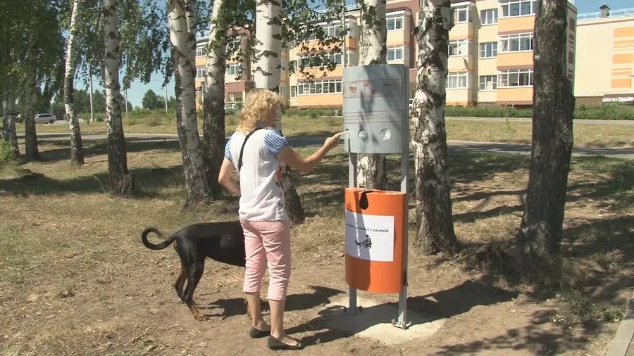 В Бердске поставят первые дог-боксы для сбора собачьих экскрементов: Они появятся в нелегальных местах выгула собак