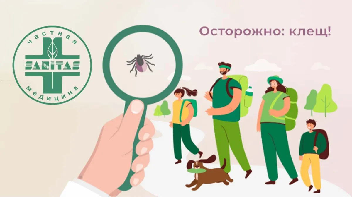 Помощь при укусе клеща, диагностику, вакцинацию предлагает клиника Санитас в Искитиме, Новосибирске, Академгородке