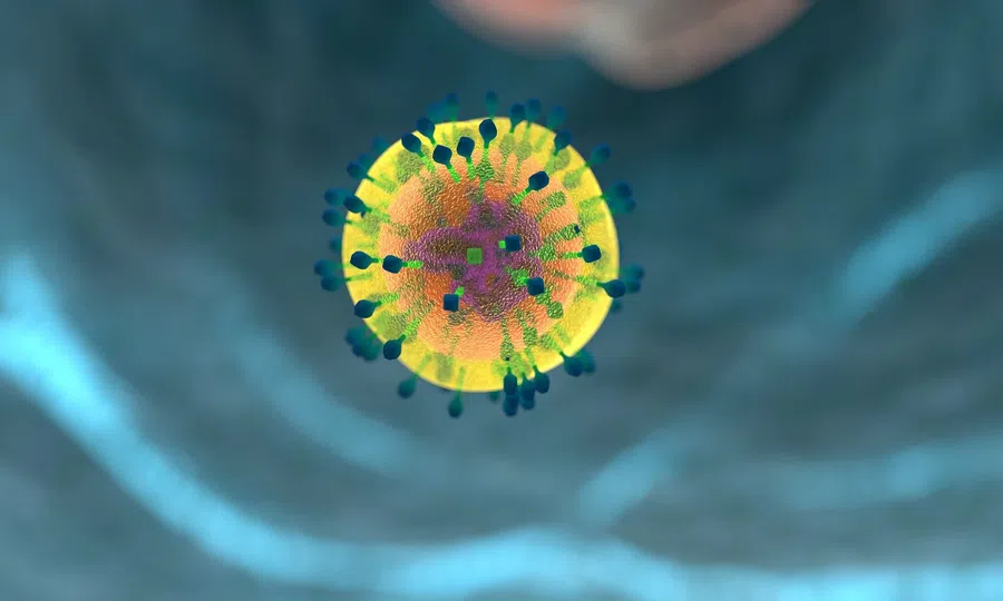 Реакция иммунных Т-клеток может предсказать защиту от коронавируса у людей с раком и без него