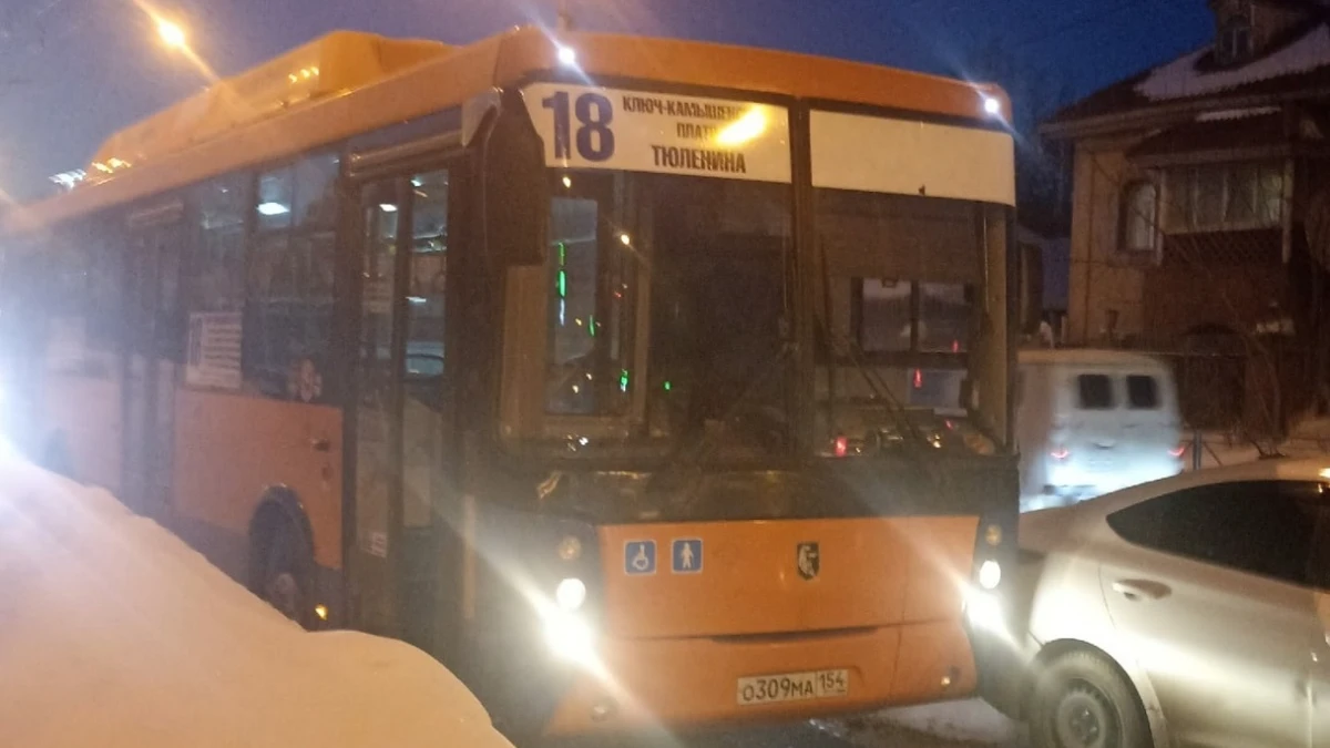 В Новосибирске водитель и кондуктор автобуса избили пассажира за сделанное замечание
