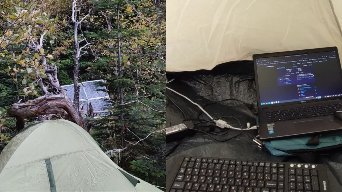 Программист больше месяца скрывается от военкомата в лесу на Юге России – интернет ловит с помощью антенны, которую установил на дереве
