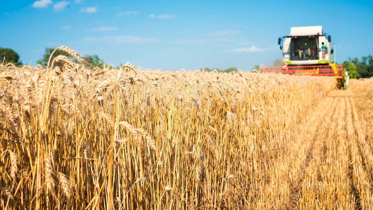 Боррель призывает Россию отменить отказ от участия в «зерновой сделке» – страны с низким и средним уровнем дохода ждет голод